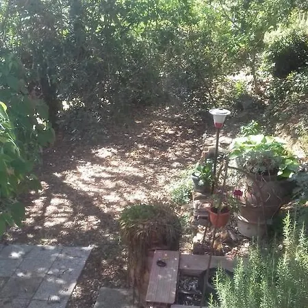 La Casa Di Lili Villa Lugnano in Teverina Exterior foto